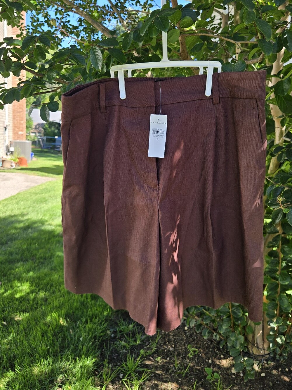 Ann Taylor Brown A-Line Pleated Short
